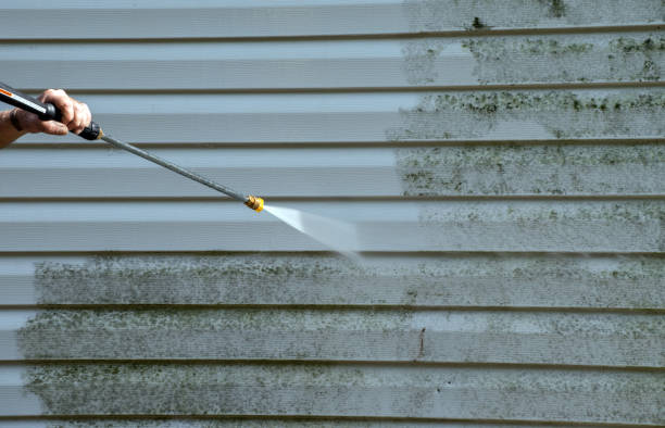 Best Animal Enclosure Cleaning  in Circleville, OH